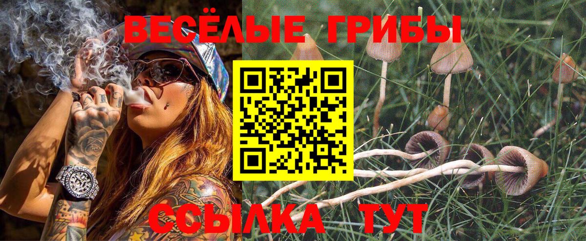 Галлюциногенные грибы Cubensis  Псилоцибиновые грибы Psilocybine cubensis  Кропоткин  Вход с VPN 